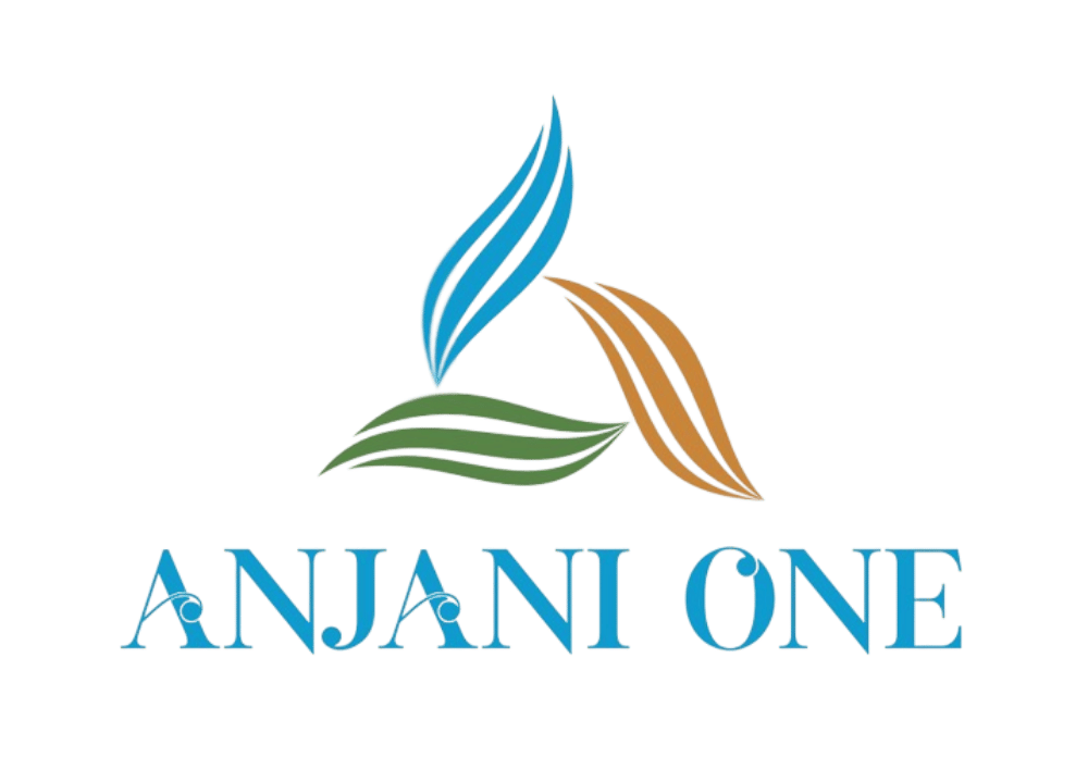 anjani one logo